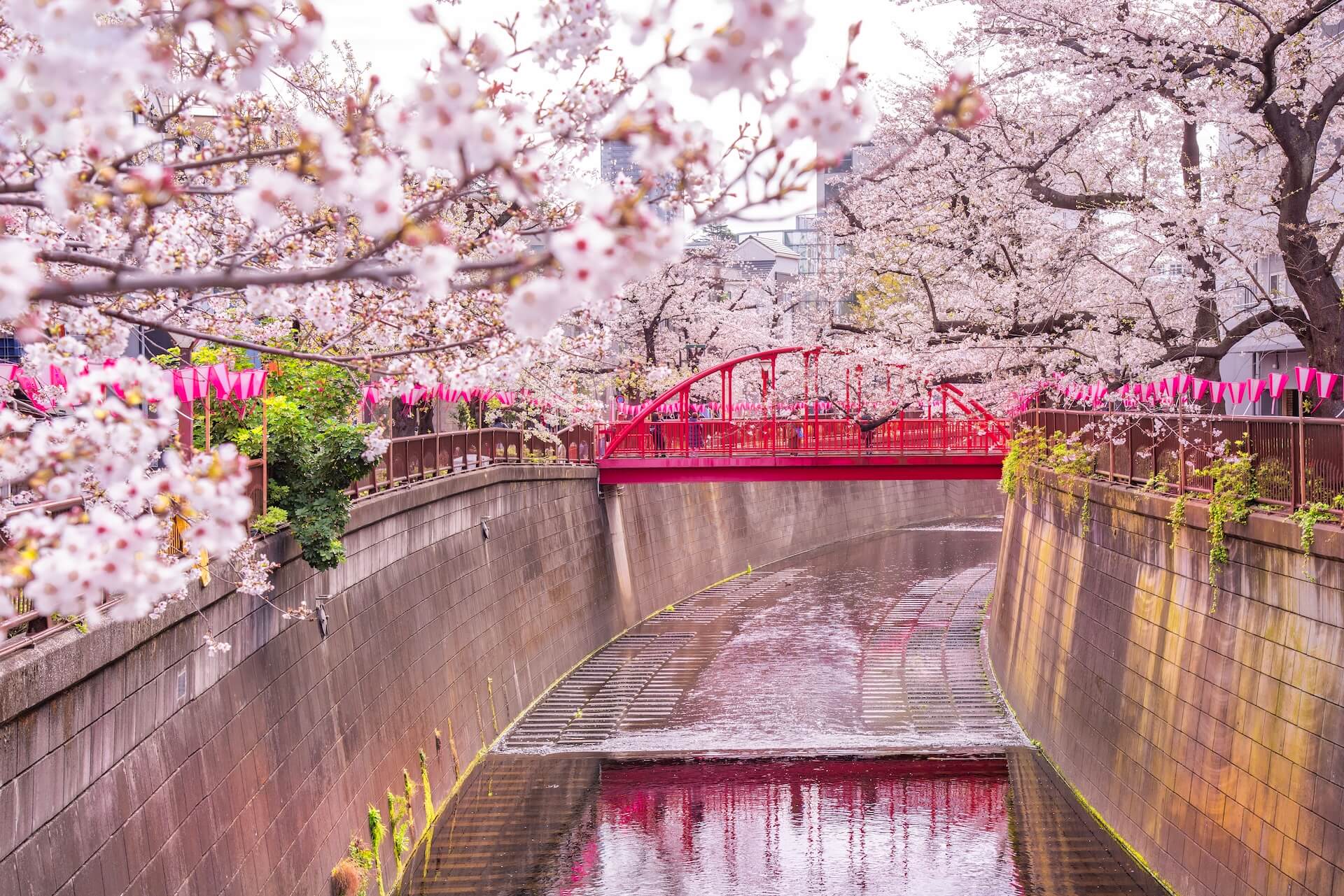  shutterstock_2753414071.jpg